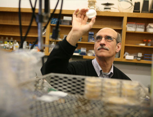 短信验证码轰炸平台