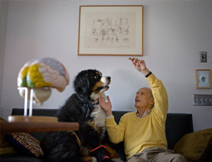 免费用虚拟号码发电话