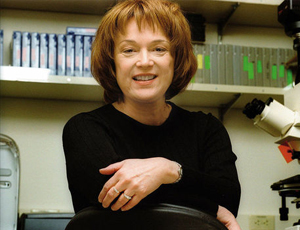 充值网站便捷的在线云呼